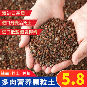 广东东莞多肉土颗粒土专用营养土肉肉植物种植土铺面石叶插进口泥