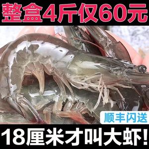 青岛大虾鲜活速冻海虾白虾对虾大虾新鲜海捕大虾海鲜非基围虾商用