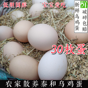 泰和乌鸡蛋农家土鸡蛋散养五黑绿壳鸡蛋农村江西白凤乌骨黑凤鸡蛋