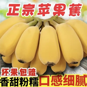 广西新鲜苹果粉蕉小香蕉 米蕉带箱10斤芭蕉帝王蕉自然熟水果