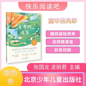 快乐阅读吧银色卷 童年的风筝 张国龙 凌丽君 北京少年儿童出版社