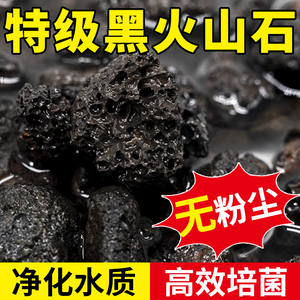 火山石鱼缸专用黑色天然颗粒鱼缸过滤底砂水族造景多肉铺面火山岩