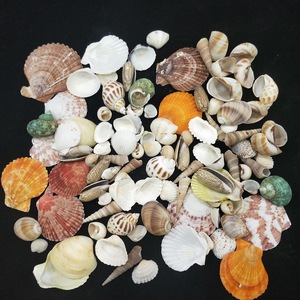 环氧树脂水晶滴胶河流桌DIY材料制作海洋贝壳海螺装饰品填充材料