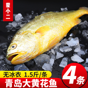 青岛特产 黄鱼新鲜冷冻4条海鲜生鲜海鱼鲜活大黄花鱼大黄鱼黄瓜鱼