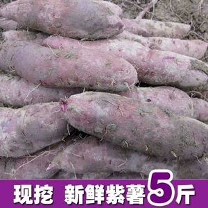 广西紫薯新鲜5斤沙地大个紫心红薯小地瓜能量助农湖北农产品拼单