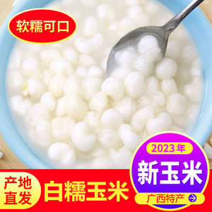 广西忻城珍珠糯玉米头白玉米干粒脱皮煮粥糖水玉米碴子餐饮雪芽