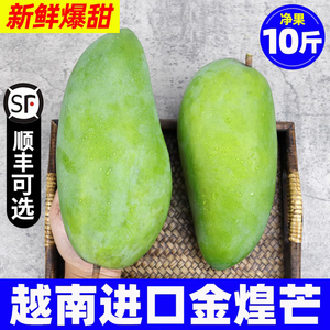 特大芒果新鲜10斤一级越南大青芒水果热带当季鲜果青芒果金煌大果