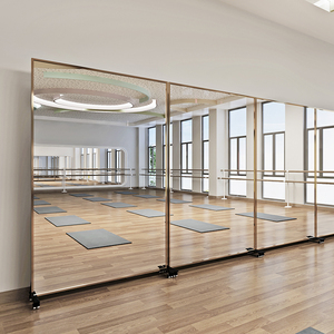 舞蹈镜可移动家用网红直播间健身房大镜子瑜伽排练全身落地镜带轮