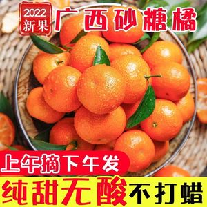 正宗广西砂糖橘10斤新鲜沙塘桔小橘子当季水果整箱蜜橘桔子柑橘9