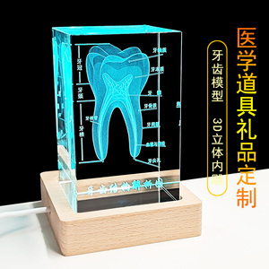 水晶牙齿模型内雕口腔牙科医学院送医生礼物牙医教学纪念礼品摆件