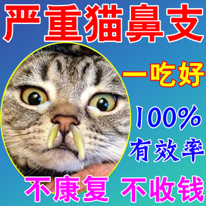 猫鼻支特效药猫咪感冒药打喷嚏流鼻涕呼吸道感染专用滴鼻液急救药