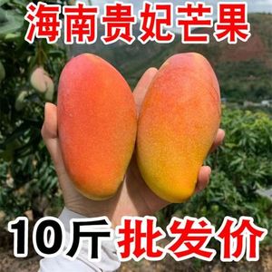 现摘海南贵妃芒10斤大果应当季热带新鲜水果树上熟甜芒果整箱包邮
