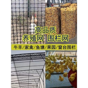 塑料网防护网围栏熟料养殖网鸡鸭小孔漏粪圈玉米网户外抗老化防晒