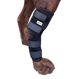 Labra Dog Extra Supportive Canine Rear (Hind) Leg Hock Jo