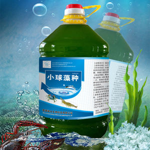 小球藻藻种浓缩硅藻有益藻类净水调水肥水绿藻种培养基水产养殖鱼