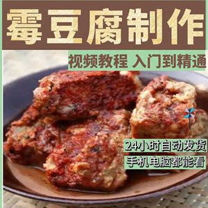 正宗香辣霉豆腐技术配方商用创业腐乳小吃配料制作视频教程