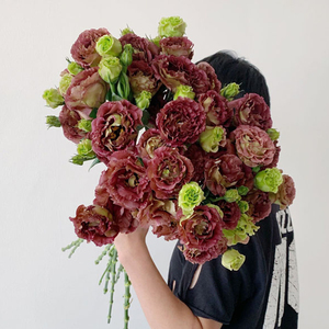 吉梗花鲜花 吉梗花鲜花品牌 价格 阿里巴巴