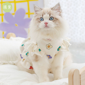 可爱小猫咪连衣裙子夏季薄款布偶蓝猫宠物幼猫猫衣服春秋款防掉毛