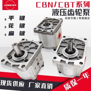 液压齿轮泵油泵总成CBN-F310/314/316/20/25小型高压油泵大全泵头