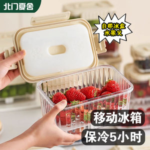 自带冰盒保鲜盒冰箱食品级带提手水果盒子户外野餐便携移动小冰箱