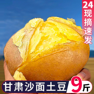 甘肃沙面土豆新鲜黄皮黄心洋芋定西5斤9斤高原农家马铃薯辅食整箱