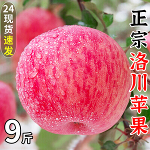 正宗洛川红富士苹果9斤陕西新鲜水果当季整箱脆甜丑苹果糖心包邮