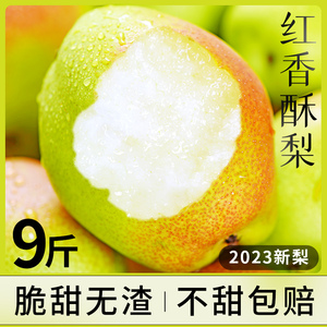 陕西红香酥梨10斤新鲜水果当季香梨整箱青雪酥梨应季特产梨子