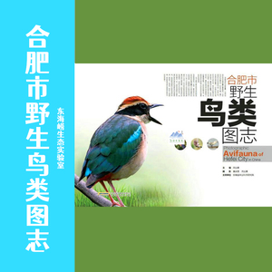 合肥市野生鸟类图志 中国野生鸟类图鉴 中国鸟类图鉴 合肥鸟类