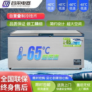 超低温冷冻柜低温柜零下60度40度商用冰柜冰箱冷冻金枪鱼海鲜小型
