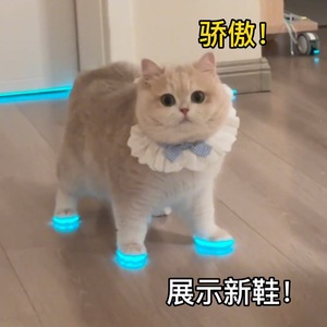 猫咪发光鞋配件宠物狗玩具狗狗鞋宠物