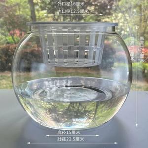 花瓶花瓶摔插水培防花盆插花透明亚克力玻璃瓶器皿塑料子绿植仿