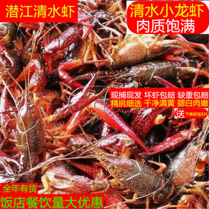 小龙虾鲜活龙虾5斤567生鲜淡水大虾活体虾食用潜江清水虾新鲜活虾