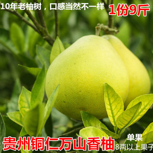 贵州铜仁万山香柚9斤装送开柚器 白心小柚子红色袋装柚子孕妇水果