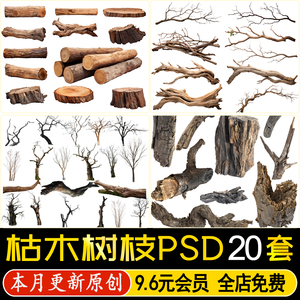木头枯木树枝树桩枯树苔癣造型植物树干树皮PS效果图PSD免抠素材