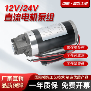 微小型抽油泵直流专用电机油泵齿轮泵机DC12V/24V 摆线泵厂家直销