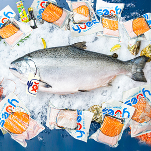 深悦胜 新西兰进口帝王鲑鱼 8-9斤冰鲜三文鱼一整条新鲜即食刺身