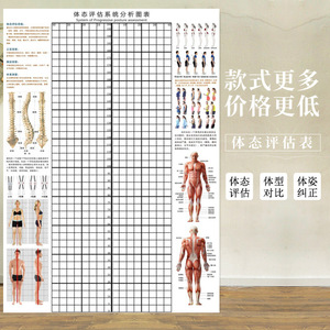 体态评估表健身房体测网格图瑜伽馆人体姿势对比校正图身体矫正表