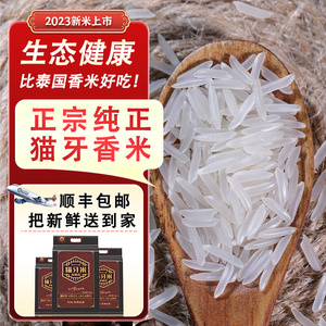 大米新米2023年新米正宗猫牙米泰国香米香米长粒香大米丝苗米10斤