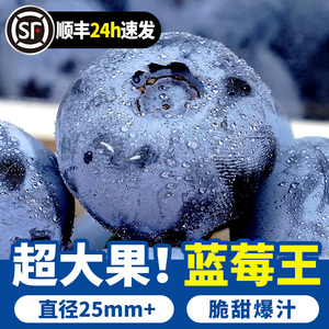 【蓝莓大果23mm】云南蓝莓鲜果礼盒高山新鲜水果应当季整箱梅超特