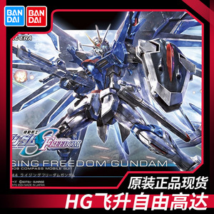 万代拼装模型 HG 1/144 飞升自由高达 SEED FREEDOM 剧场版 现货