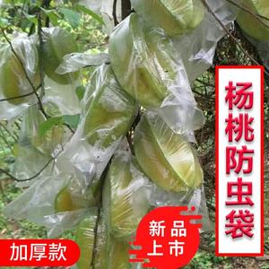 果袋套袋杨桃袋加厚防虫袋保护袋透气水果袋透明保鲜促生长袋