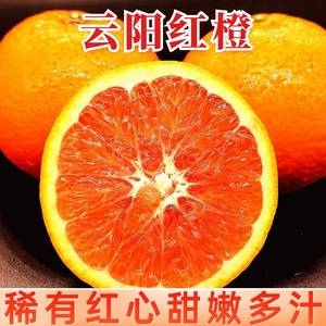 重庆云阳红橙 中华红玫瑰血橙新鲜水果5卡拉卡拉红肉雪甜橙子10斤