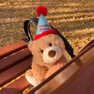 PASSGIRL生日礼物女生玩偶熊原创闺蜜可爱娃娃公仔抱枕毛绒玩具