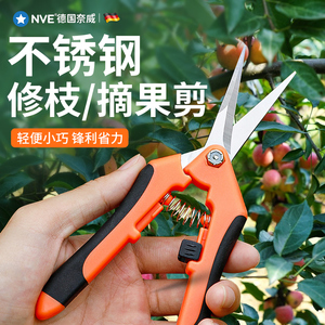 摘果剪刀葡萄剪水果园艺剪枝专用采果剪子弹簧修枝蔬果摘果小剪子