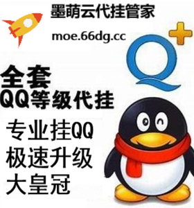 qq等级全套加速代练q代挂q电脑管家手机在线空间访客浏览游戏签到