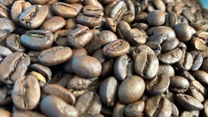 华盛经典日式碳烧咖啡豆重度烘焙口感浓郁黑巧克力454g摩卡虹XEOW