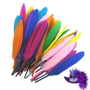 .Craft Feathers 50pcs/Set Colorful Feathers Colored Feather