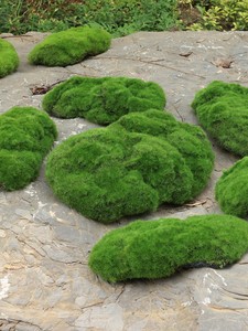 绿草地地毯仿真青苔草坪装饰微景观垫子户外草皮植绒摆件苔藓块