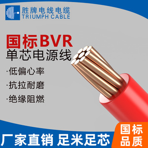 胜牌国标BVR 2.5平方单芯 铜线1.5 4 6 10mm家用铜芯电子电线厂家