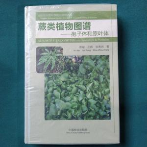 蕨类植物图谱：孢子体和原叶体焦瑜、王晖、张寿洲中国林业出版社